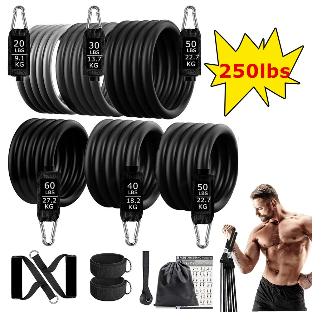 Workout Exercise Bands