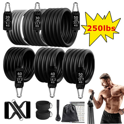 Workout Exercise Bands