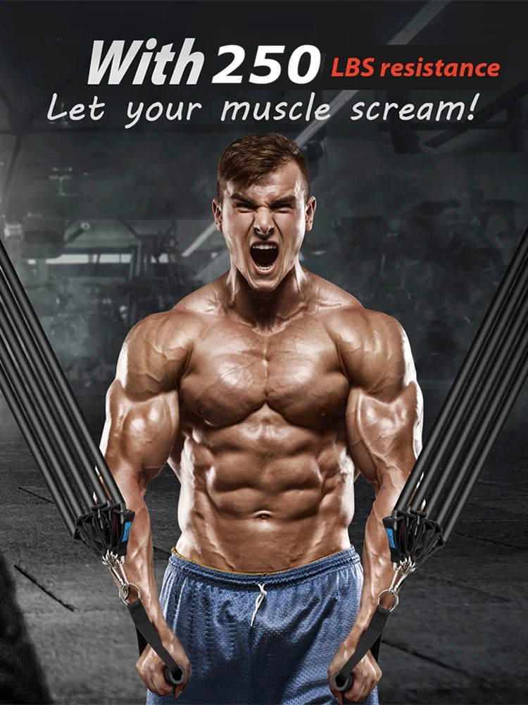 Workout Exercise Bands